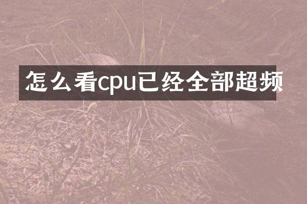 怎么看cpu已经全部超频
