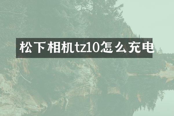 相机tz10怎么充电