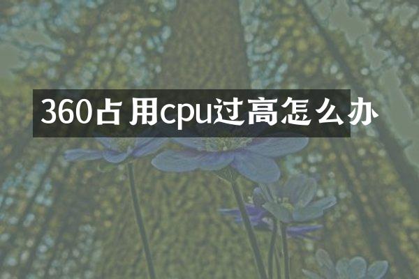 360占用cpu过高怎么办