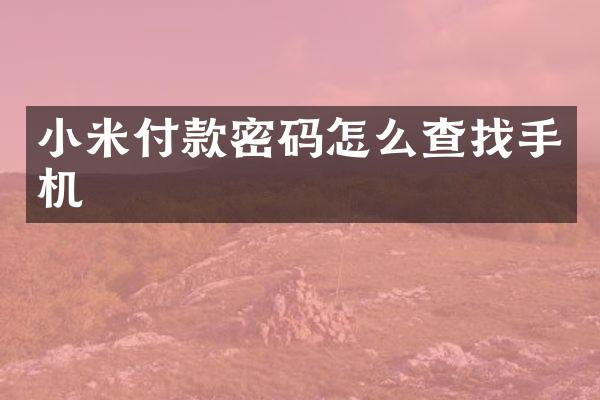 小米付款密码怎么查找手机