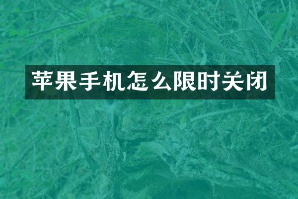 苹果手机怎么限时关闭