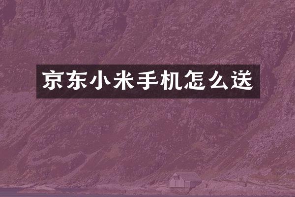 京东小米手机怎么送