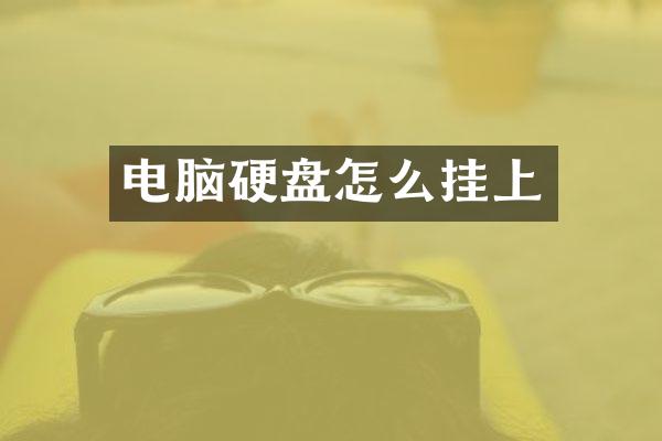 电脑硬盘怎么挂上