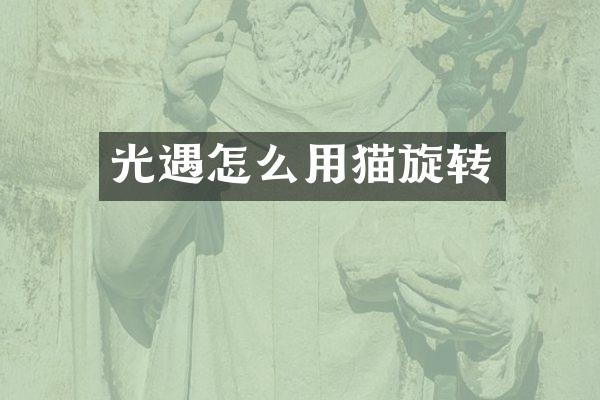 光遇怎么用猫旋转