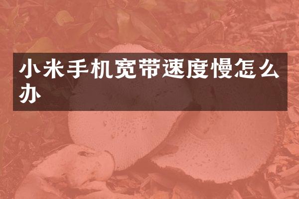 小米手机宽带速度慢怎么办