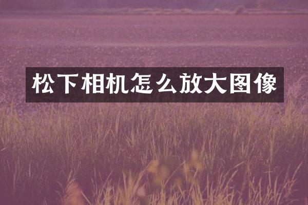 相机怎么放大图像