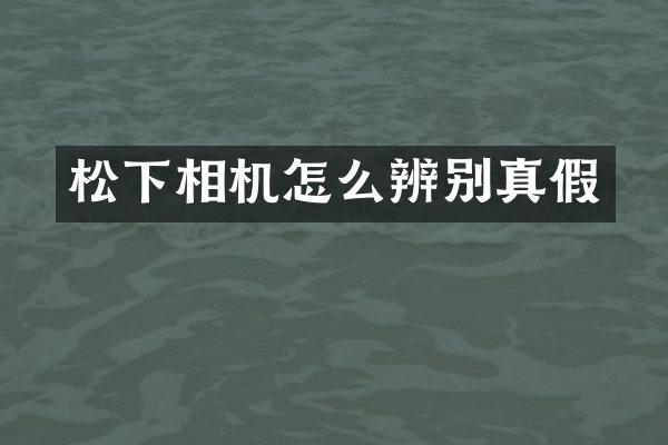 相机怎么辨别真假