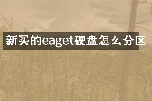 新买的eaget硬盘怎么分区