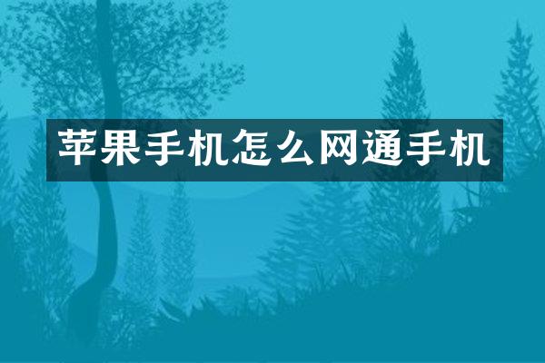 苹果手机怎么网通手机