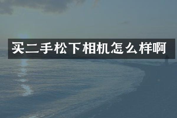 买二手相机怎么样啊