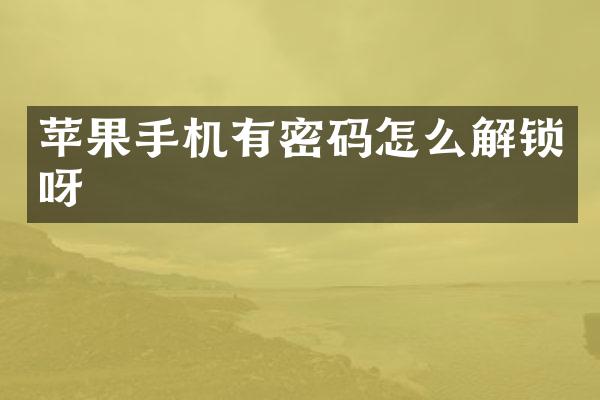 苹果手机有密码怎么解锁呀