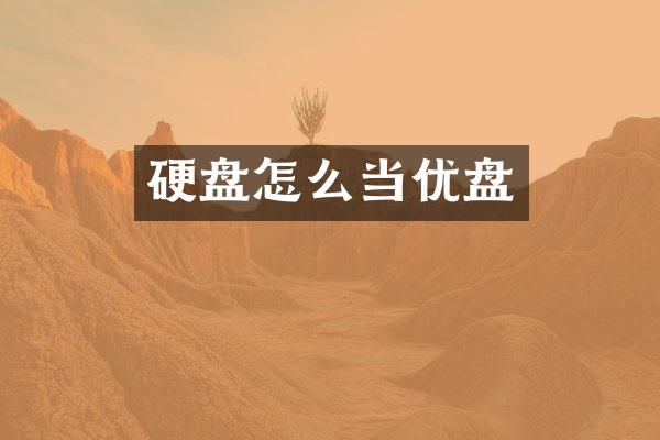 硬盘怎么当优盘