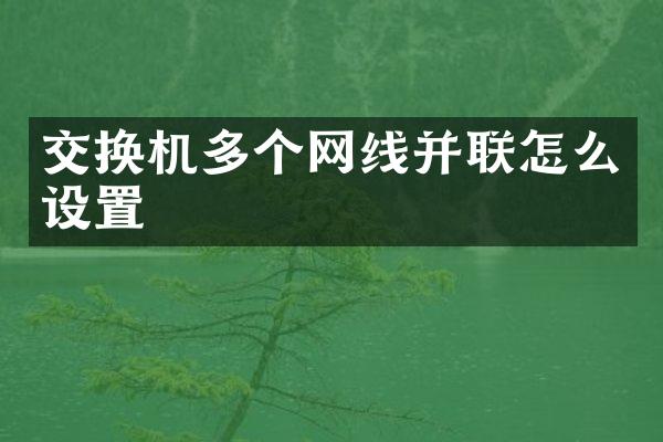 交换机多个网线并联怎么设置