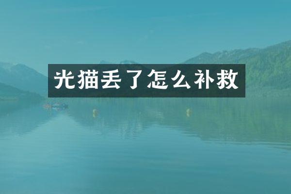 光猫丢了怎么补救