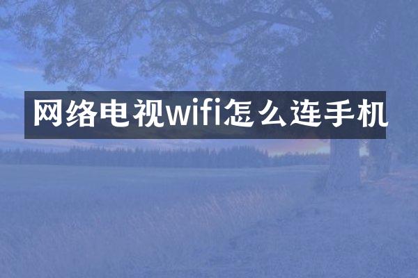 网络电视wifi怎么连手机