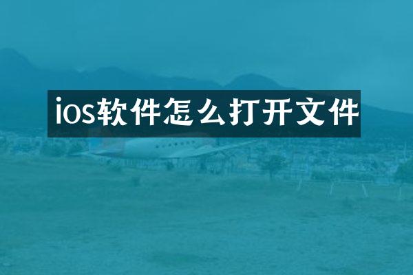 ios软件怎么打开文件