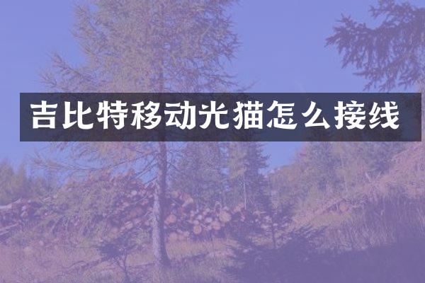 吉比特移动光猫怎么接线