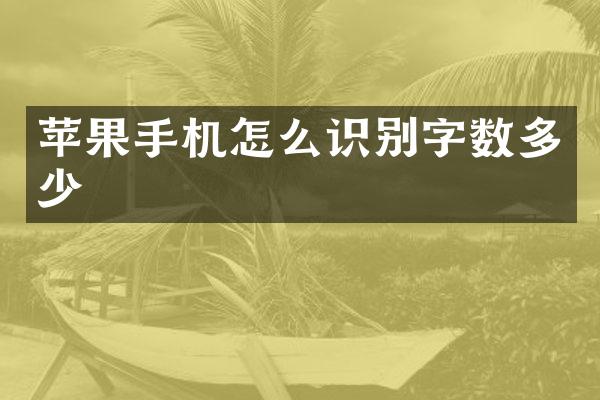 苹果手机怎么识别字数多少