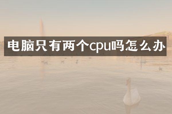 电脑只有两个cpu吗怎么办
