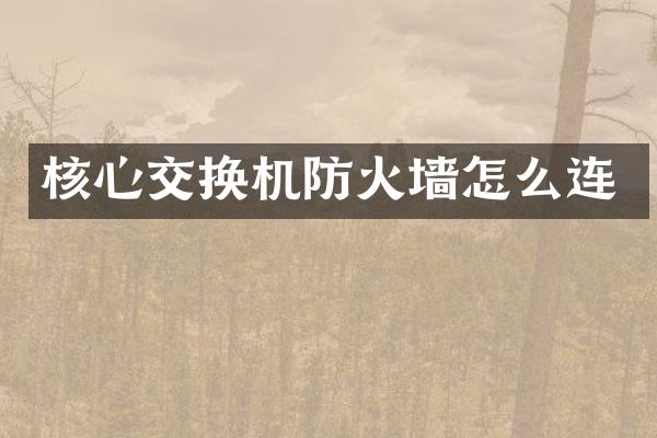 核心交换机防火墙怎么连