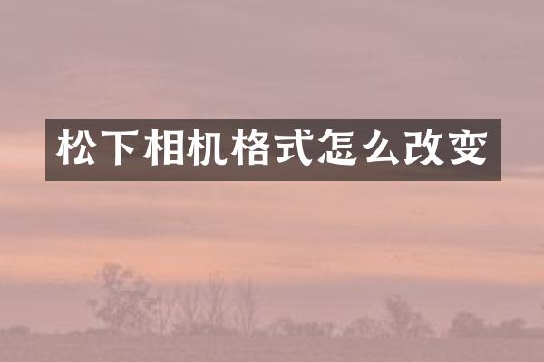 相机格式怎么改变