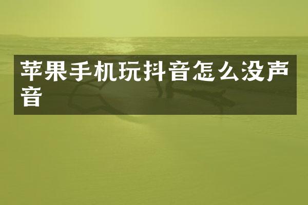 苹果手机玩抖音怎么没声音