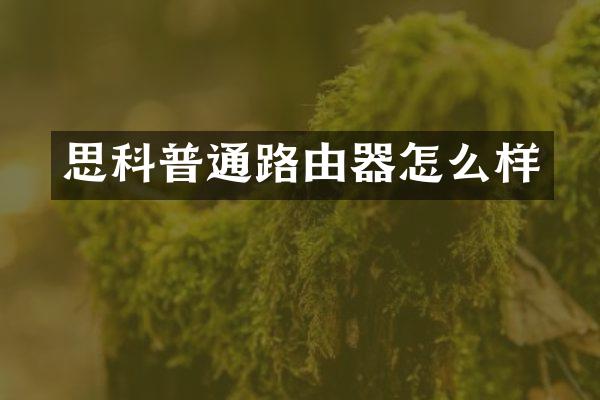 思科普通路由器怎么样