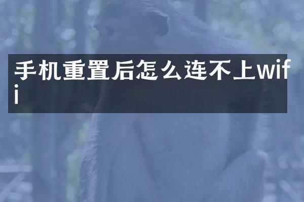 手机重置后怎么连不上wifi