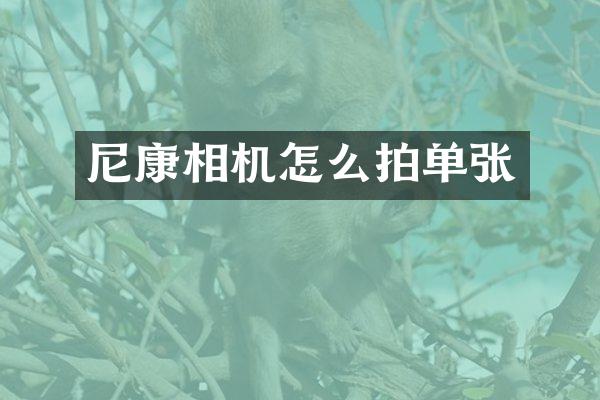 尼康相机怎么拍单张