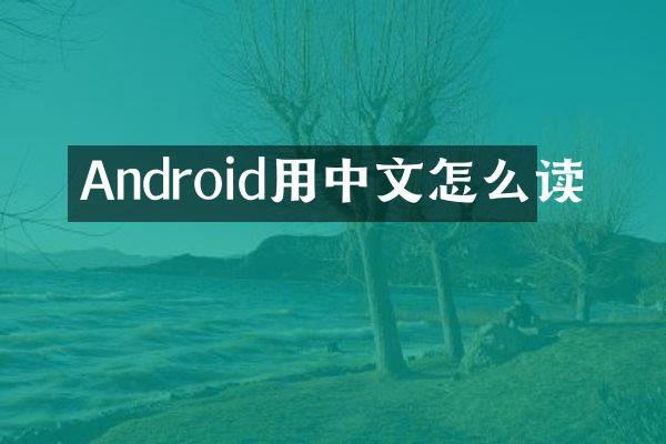 Android用中文怎么读