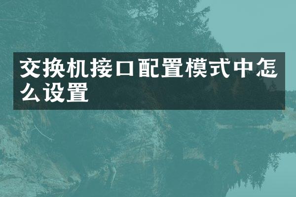 交换机接口配置模式中怎么设置