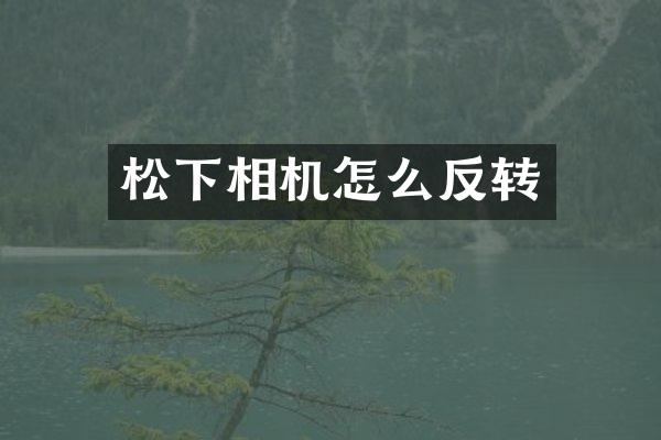 相机怎么反转