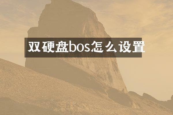 双硬盘bos怎么设置