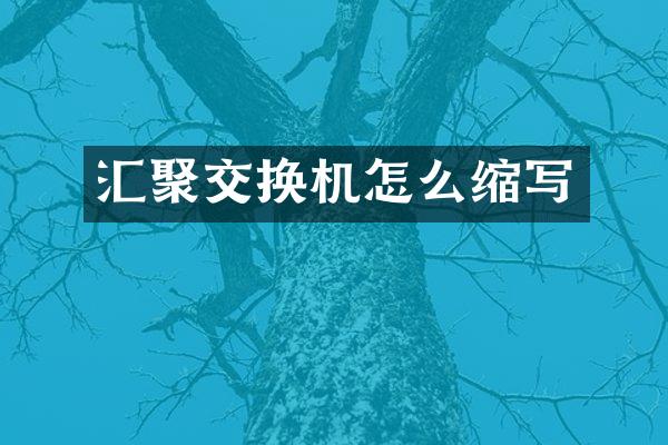 汇聚交换机怎么缩写