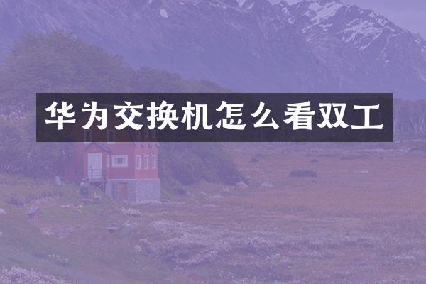 华为交换机怎么看双工