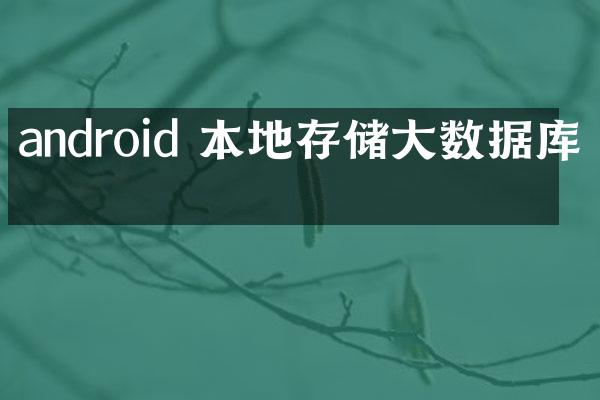 android 本地存储大数据库吗