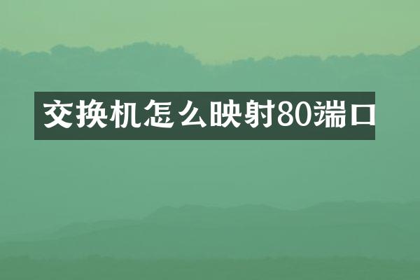 交换机怎么映射80端口