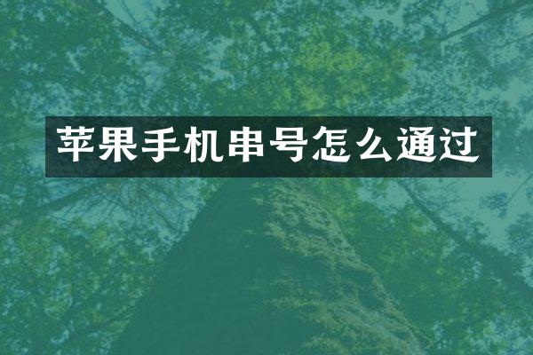 苹果手机串号怎么通过