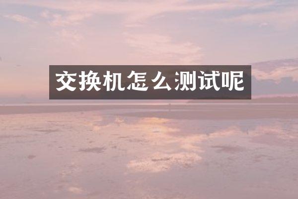 交换机怎么测试呢