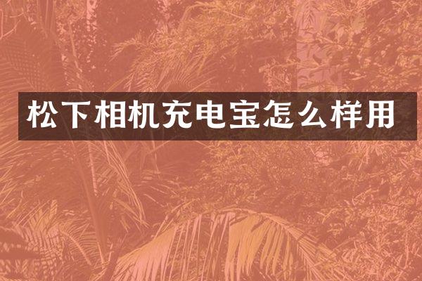 相机充电宝怎么样用