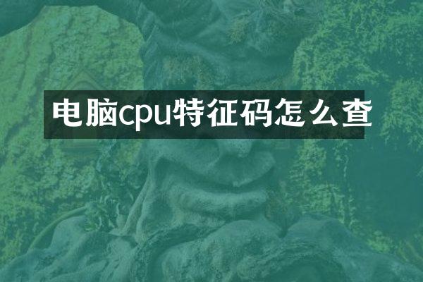 电脑cpu特征码怎么查