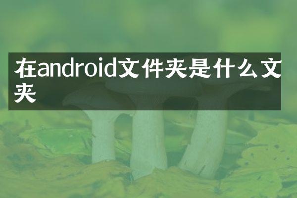 在android文件夹是什么文件夹
