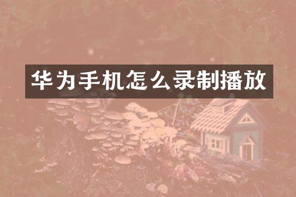 华为手机怎么录制播放