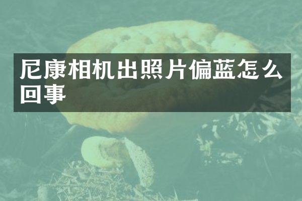 尼康相机出照片偏蓝怎么回事