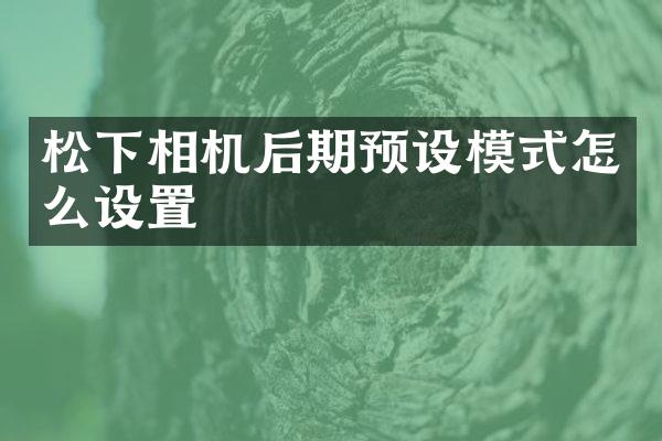相机后期预设模式怎么设置