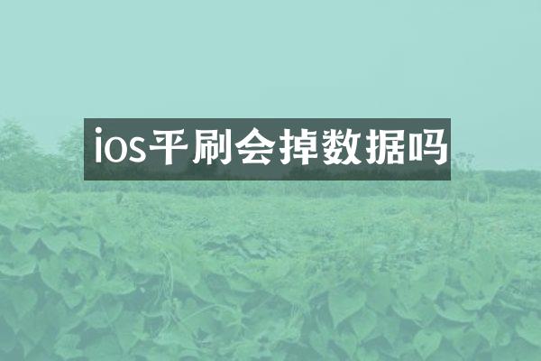 ios平刷会掉数据吗