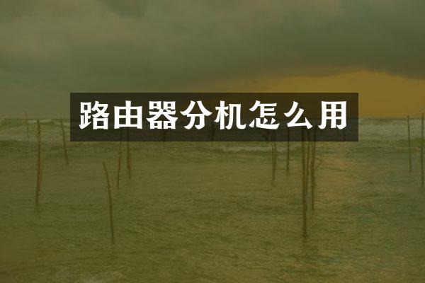 路由器分机怎么用