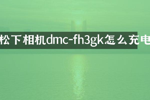 相机dmc-fh3gk怎么充电