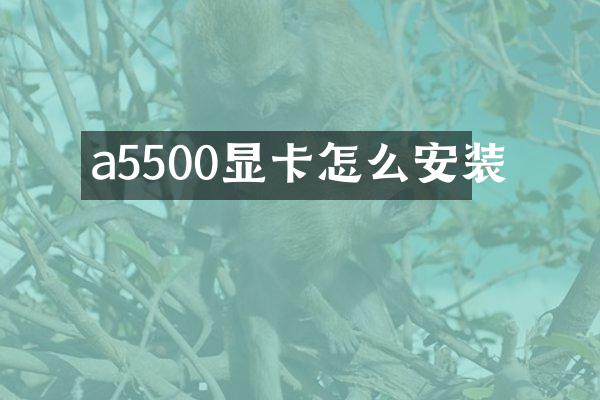 a5500显卡怎么安装