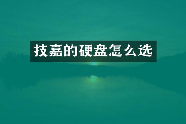 技嘉的硬盘怎么选